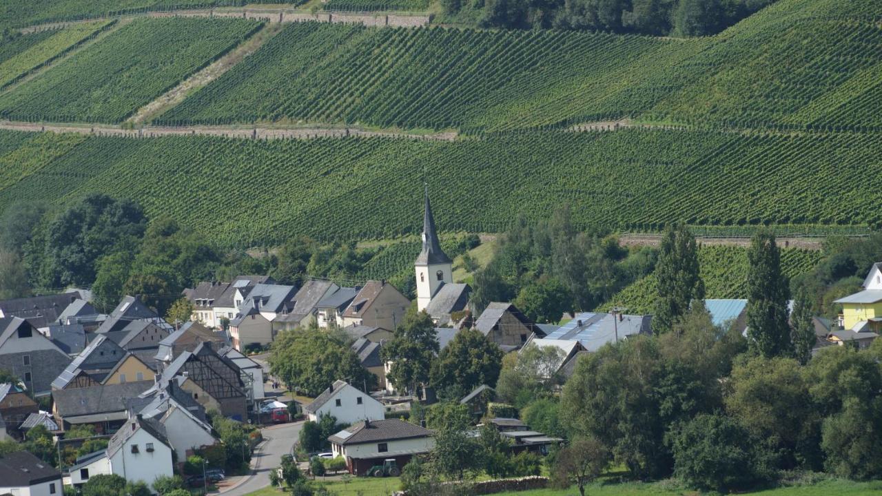 Altes Winzerhaus - Ferienhaus Burgen  المظهر الخارجي الصورة